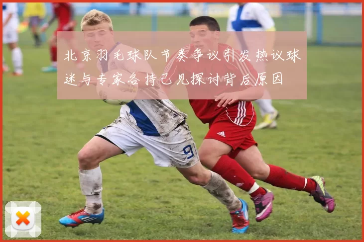 北京羽毛球队节奏争议引发热议球迷与专家各持己见探讨背后原因
